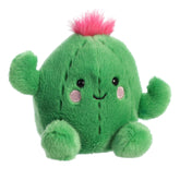 Prickles Cactus™